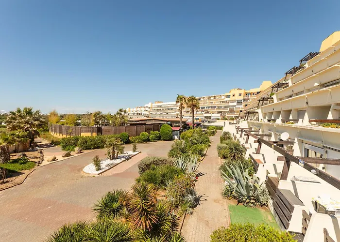 Bacarrat Coursive Port Nature